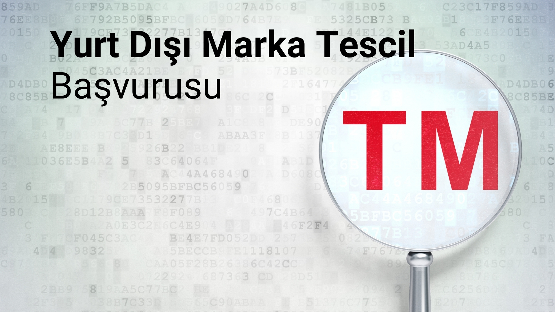 Yurt Dışı Marka Tescil